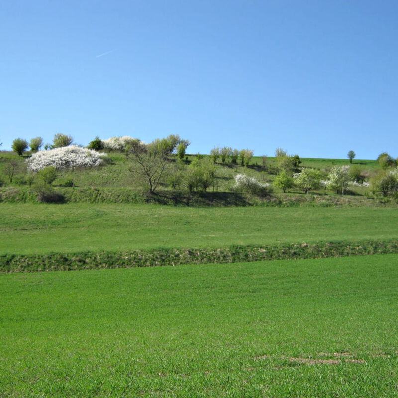 Landschaftsplanung