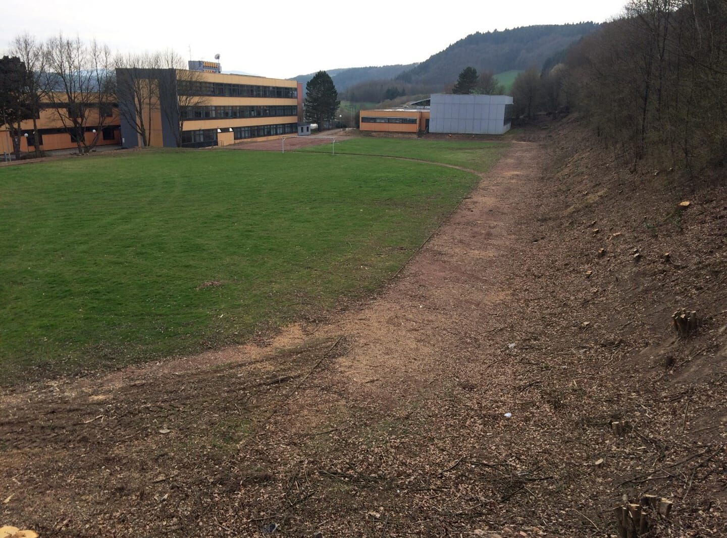 Große Wiese vor einer Schule