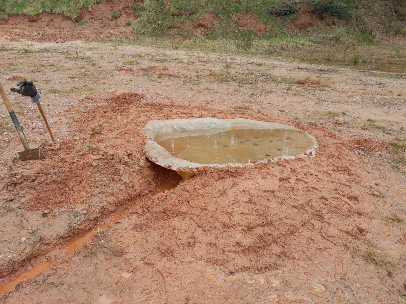 Ehem. Sandgrube - Künstliche Amphibienbecken.jpg