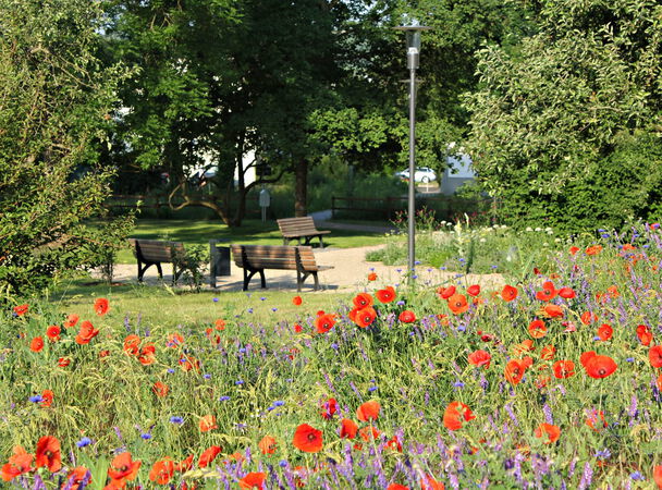 Parkanlage mit Blumen, Bäumen und Parkbänken