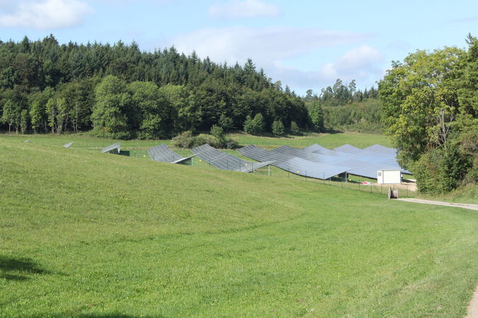 Grüne Wiese mit Bäumen im Hintergrund und fertiger Photovoltaikanlage